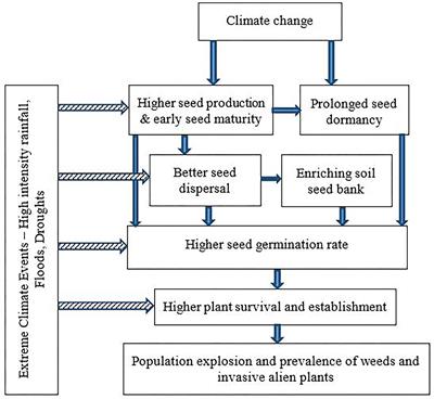 Effects of Climate Change on Weeds and Invasive Alien Plants in Sri Lankan Agro-Ecosystems: Policy and Management Implications